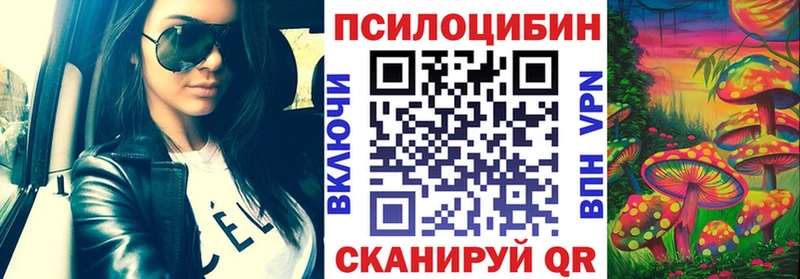 дарнет шоп  Чехов  Псилоцибиновые грибы прущие грибы 