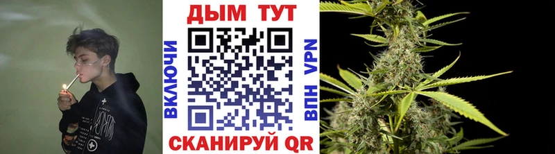 где продают   Чехов  Марихуана планчик 